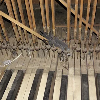 Marderspuren in der Orgel