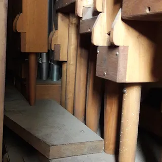 Holzwurmbefall 1
