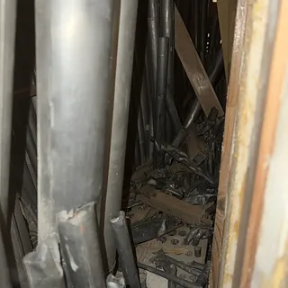 Marder in der ORgel
